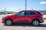 Used 2020 Ford Escape SE image 5