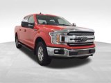 Used 2019 Ford F150 XLT w/ Equipment Group 301A Mid image 5