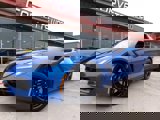View Video