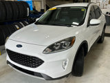 Used 2020 Ford Escape SEL image 3