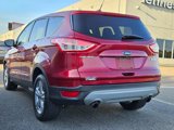 Used 2015 Ford Escape SE image 4