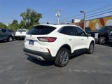 Certified 2022 Ford Escape SEL image 6