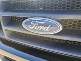 Used 2004 Ford F150 2WD Regular Cab image 4