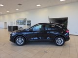 Used 2020 Ford Escape SE image 2