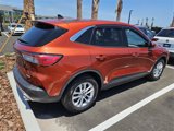 Used 2020 Ford Escape SE image 3