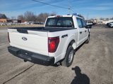 New 2024 Ford F150 XL image 4