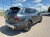 Used 2023 Kia Telluride SX Prestige image 3