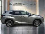Used 2021 Lexus NX 300 AWD w/ Comfort Package image 2