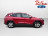 Used 2021 Ford Escape SE w/ Convenience Package image 5