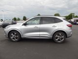 Used 2023 Ford Escape ST-Line image 5