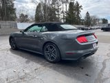 Used 2022 Ford Mustang Premium image 4