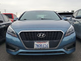 Used 2016 Hyundai Sonata Limited image 2