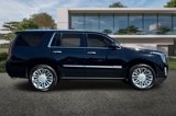 Used 2020 Cadillac Escalade Platinum image 3