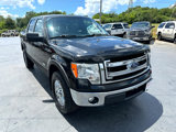 Used 2014 Ford F150 XLT image 6