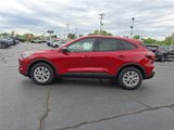 New 2025 Ford Escape Active image 4