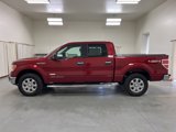 Used 2014 Ford F150 XLT w/ Equipment Group 302A Luxury image 5
