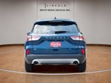 Used 2020 Ford Escape SE image 6