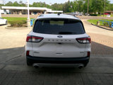 Used 2020 Ford Escape SE image 3