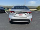 New 2025 Toyota Corolla LE w/ LE Premium Package image 5