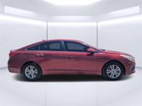 Used 2016 Hyundai Sonata SE image 2