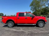 Used 2012 Ford F150 XLT w/ XLT Chrome Pkg image 4