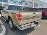 Used 2014 Ford F150 XLT w/ Equipment Group 302A Luxury image 5