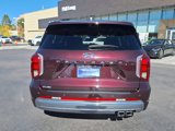 New 2023 Hyundai Palisade Calligraphy w/ Cargo Package image 4