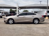 Certified 2024 Chevrolet Malibu LS image 4