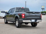 Used 2020 Ford F150 XLT w/ Equipment Group 302A Luxury image 5