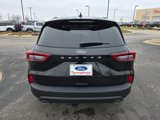 New 2025 Ford Escape ST-Line w/ Cold Weather Package image 4