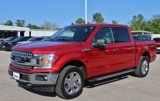 Used 2020 Ford F150 XLT w/ Equipment Group 302A Luxury image 3