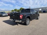 Used 2019 Ford F150 XLT w/ Equipment Group 302A Luxury image 5