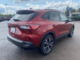 Certified 2021 Ford Escape SE w/ SE Sport Appearance Package image 5