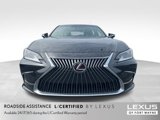 Used 2021 Lexus ES 250 w/ Premium Package image 2