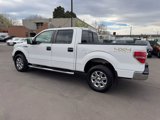 Used 2014 Ford F150 XLT w/ Equipment Group 302A Luxury image 4