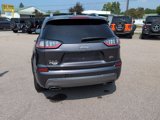 Used 2019 Jeep Cherokee Overland image 4
