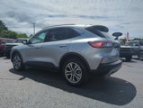 Used 2022 Ford Escape SEL image 5