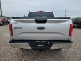 Used 2017 Ford F150 XLT image 6