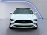 Certified 2022 Ford Mustang Premium image 2