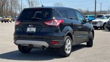 Used 2014 Ford Escape SE image 5