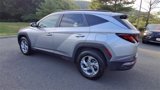 Used 2024 Hyundai Tucson SEL image 6