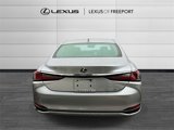 Certified 2024 Lexus ES 250 w/ Premium Package image 5