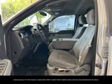 Used 2011 Ford F150 XLT image 6