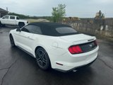 Used 2019 Ford Mustang Premium image 3