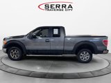 Used 2010 Ford F150 XL image 2