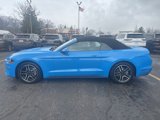 Used 2022 Ford Mustang Premium image 6