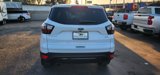 Used 2017 Ford Escape SE w/ SE Sport Appearance Package image 5