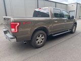 Used 2016 Ford F150 XLT w/ Equipment Group 302A Luxury image 6