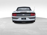 Used 2022 Ford Mustang Premium image 4