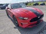 Used 2022 Ford Mustang GT w/ Equipment Group 301A image 3